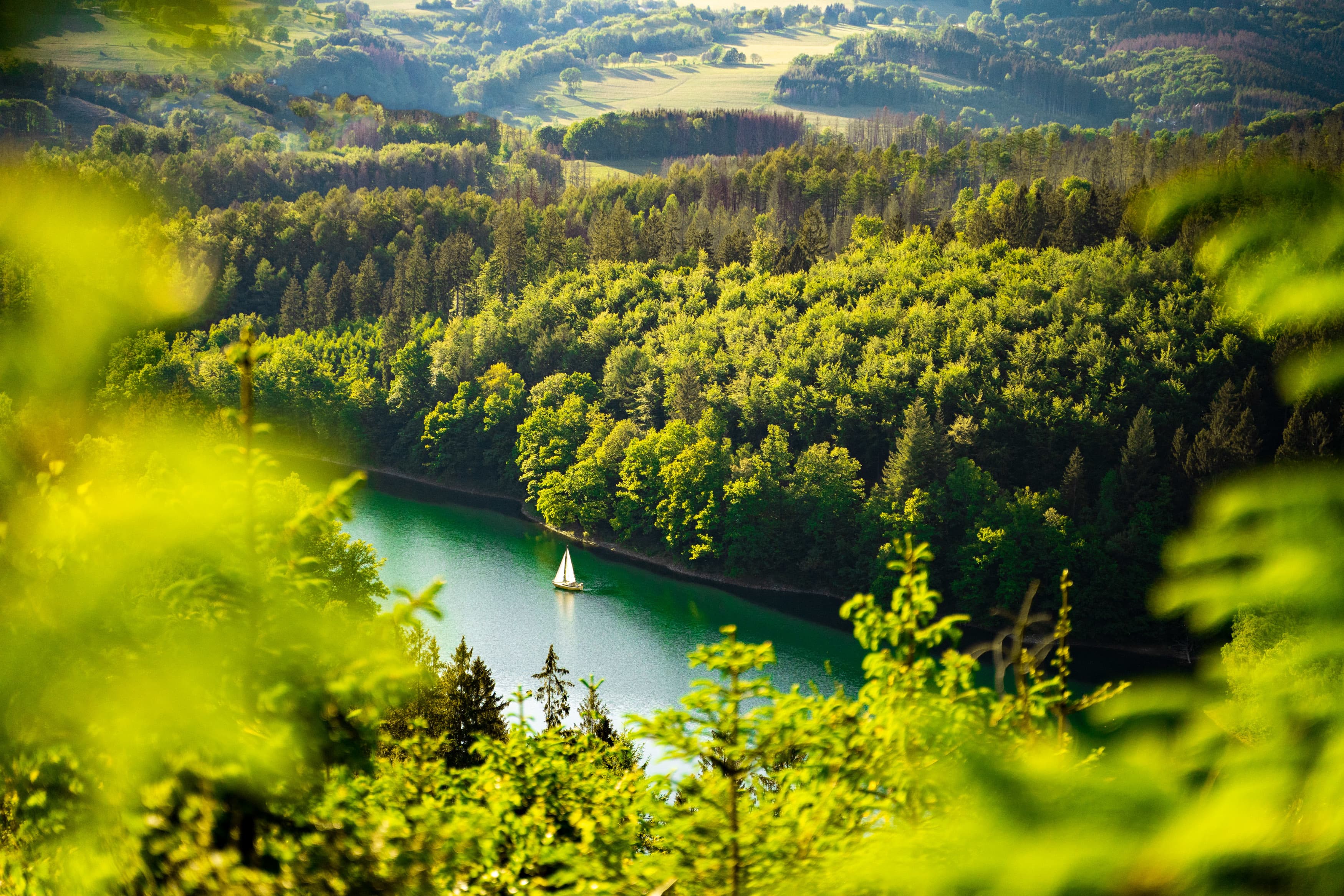 Nature Picture